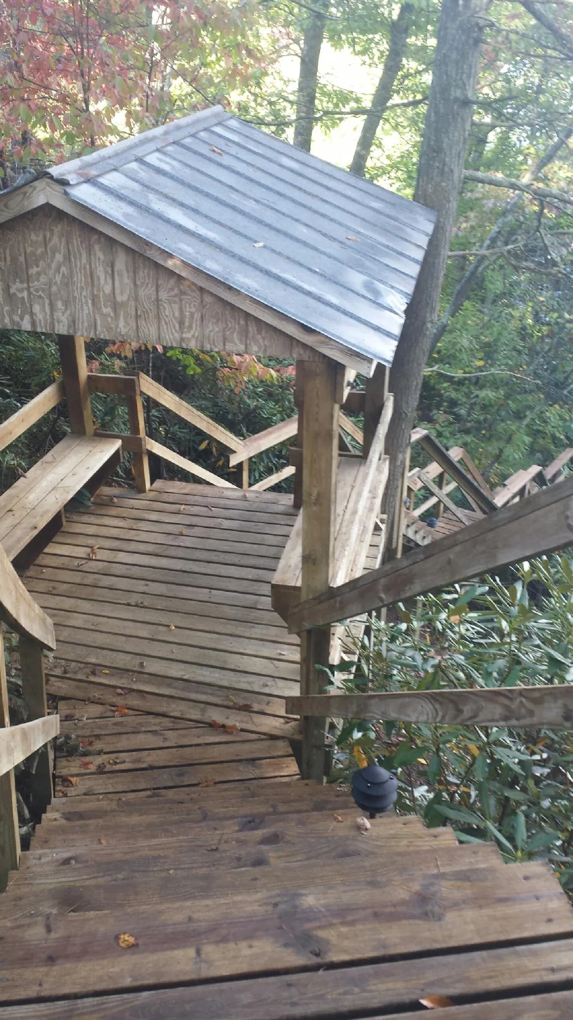 Metal roofed shelter over wooden steps on a wooded walkway — Skylight Repair & Installation work by our crew in Spiceland